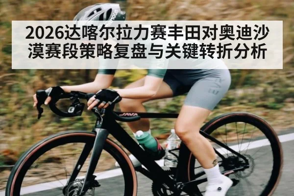 2026达喀尔拉力赛丰田对奥迪沙漠赛段策略复盘与关键转折分析
