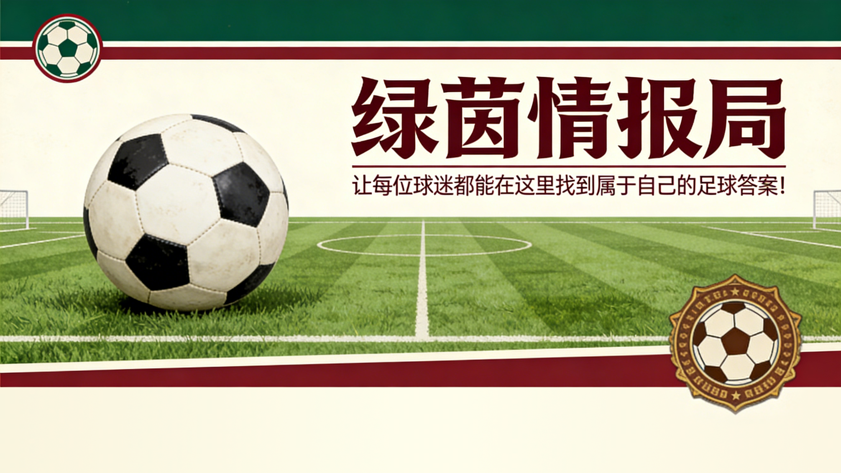 网球-意大利球迷不信任本国裁判